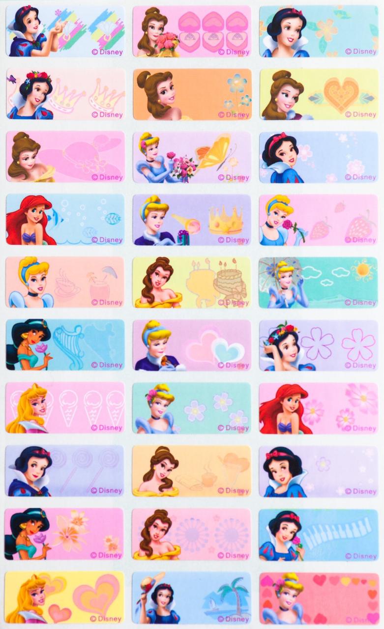 Princess Waterproof Stickers